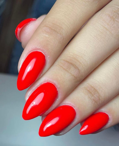 FORMATION PROTHÉSISTE ONGULAIRE 5 jours