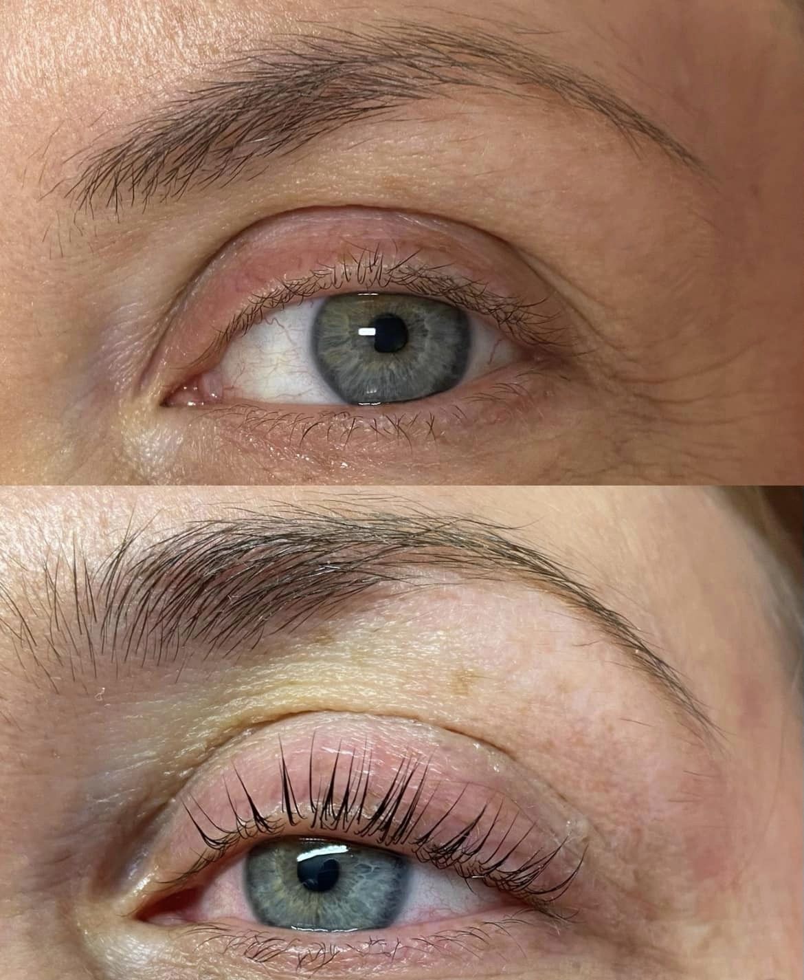 FORMATION REHAUSSEMENT DE CILS / TEINTURE DES CILS ET LASH BOTOX