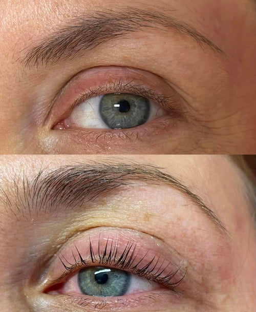 FORMATION REHAUSSEMENT DE CILS / TEINTURE DES CILS ET LASH BOTOX