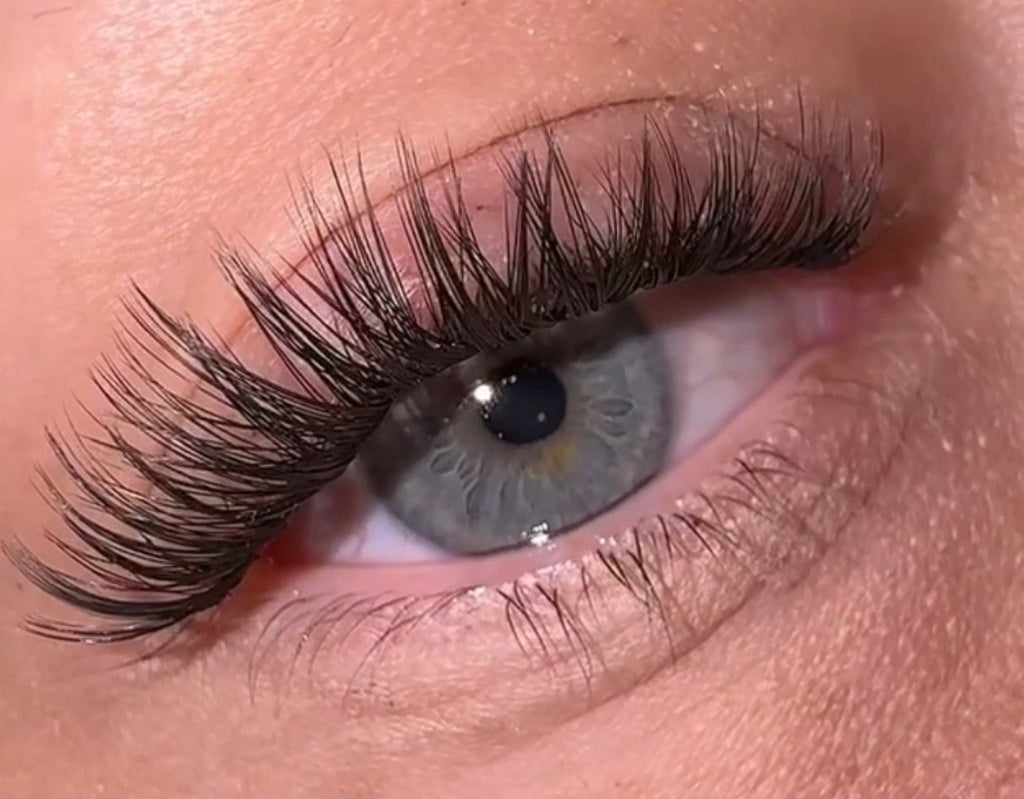 Palettes d'extension de cils DIY